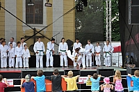 ukazky 2012__12.JPG
